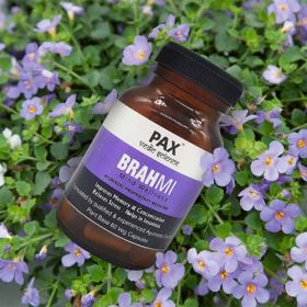 Brahmi- 60 Plant Based veg Capsule