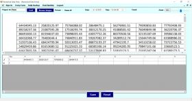 Excel Numerical Data Entry