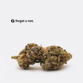 Buy Weed Online | AAAA Forget U Not: Apple Toffee 