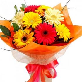 Fresh Flowers Bouquet of Gerbera