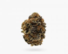 Buy Flower in Hamilton | Dosi Killer (AAAA)