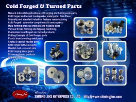 Cold Forged precision metal parts made in Taiwan