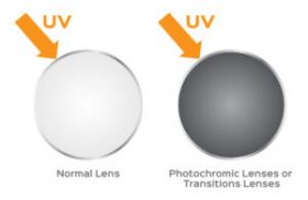 Lens Manufacturer Laboratory