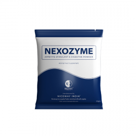 Nexozyme - Appetite Stimulant & Digestive Powder