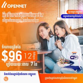 Fiber for Business