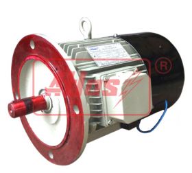 inverter duty motor