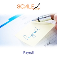 Payroll Management Software