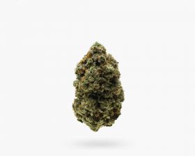 Hawaiian Hammer (AAAA) Sativa