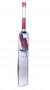 SF Glitz Elite English Willow Cricket Bat