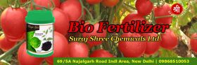 Bio Fertilizer