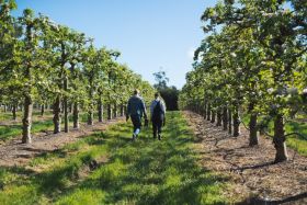 Food Forest | Regenerative farmers of America