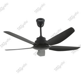 Amber Black | Designer Ceiling Fans In Bangalore