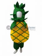 choose your favourite fruits costumes for kids