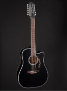 Buy Takamine Guitar at International House of Musi