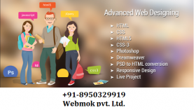 Web designing institute in Rohtak