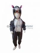 Choose your kids favourite cartoon fancy dress 