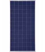 100 WT Solar PV Module