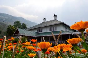 Darjeeling Tea Garden Resort