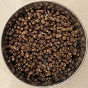 Grains of Paradise Spice For Sale