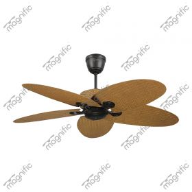 Decorative Ceiling fans - Classic