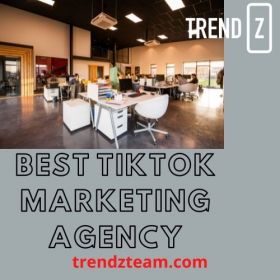 Best TikTok Marketing agency