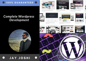 WordPress Developer 