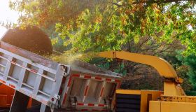 Wood Chipping in Rotherham