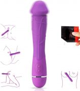 Vibrator