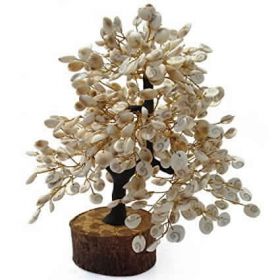 Gomati Chakra Tree – Good Luck Gift for Home