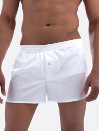 Lesure Shorts