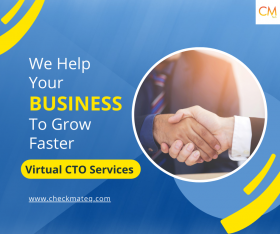 Virtual CTO Services 