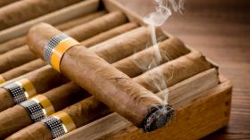 Cigar - Twisted Minds smoke shop