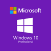 Microsoft Windows 10 Professional