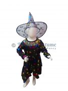 Get wide range of School competitons fancy dress 