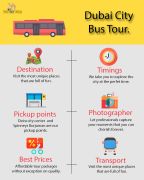 Dubai city bus tour