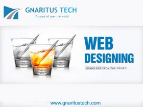Web Designing Company in Chennai - Gnaritustech