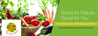 Online grocery bangalore