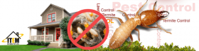 Termite Control In India- Itemsecure.in