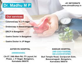 Dr. Madhu M P