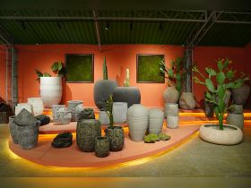 Pots and Planters 