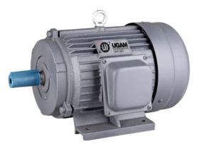 AC Electric Motors