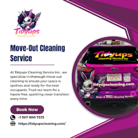 Move Out Cleaning Services