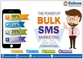 Bulk Sms Service