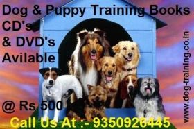 Dog And Puppy Training Books Cds DVDs Combo Packs 