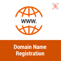 Domain Name Registration 