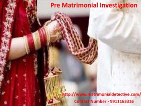Pre Matrimonial Investigation