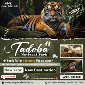 Tadoba Jeep Safari Package
