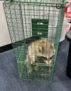 Pest and Wildlife Coverage