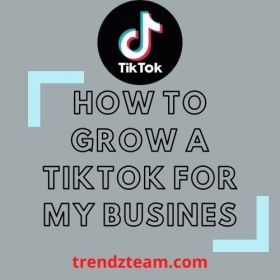 How to grow a TikTok for my business