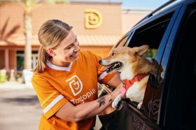 Dog Grooming